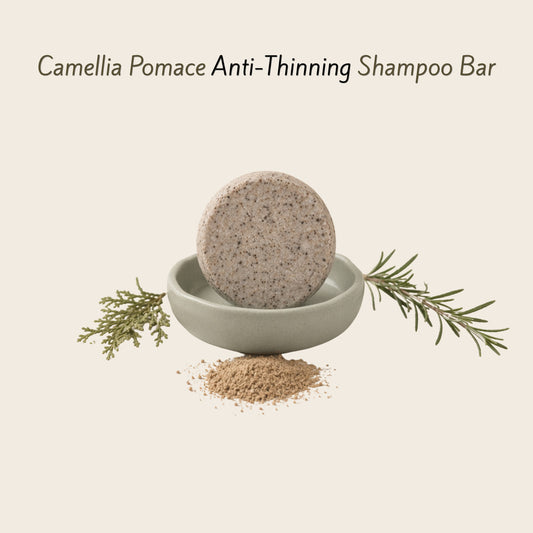 Camellia pomace anti-thinning shampoo bar in a sage green ceramic dish with thuja sprigs, rosemary and camellia seed powder on a warm beige background.