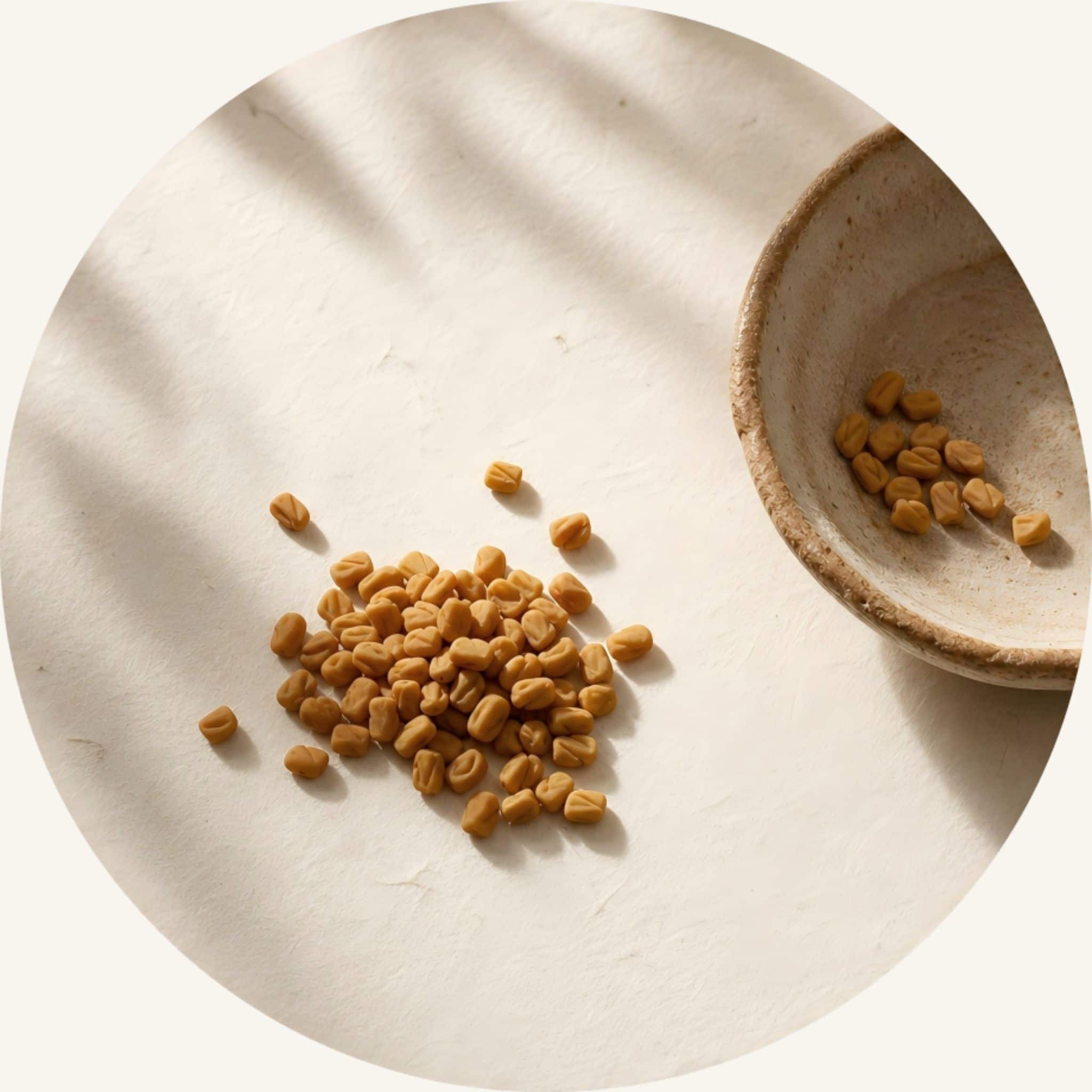 Golden Fenugreek seeds scattered next to a rustic ceramic bowl, serving as a key botanical in this moisturizing scalp oil to fortify strands and fuel hair vitality.