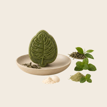 Green Tea & Peppermint Purifying Shampoo Bar