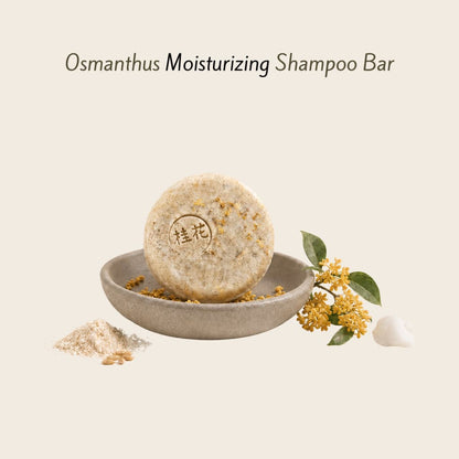 Moisturizing Shampoo Bar for Dry Damaged Hair.