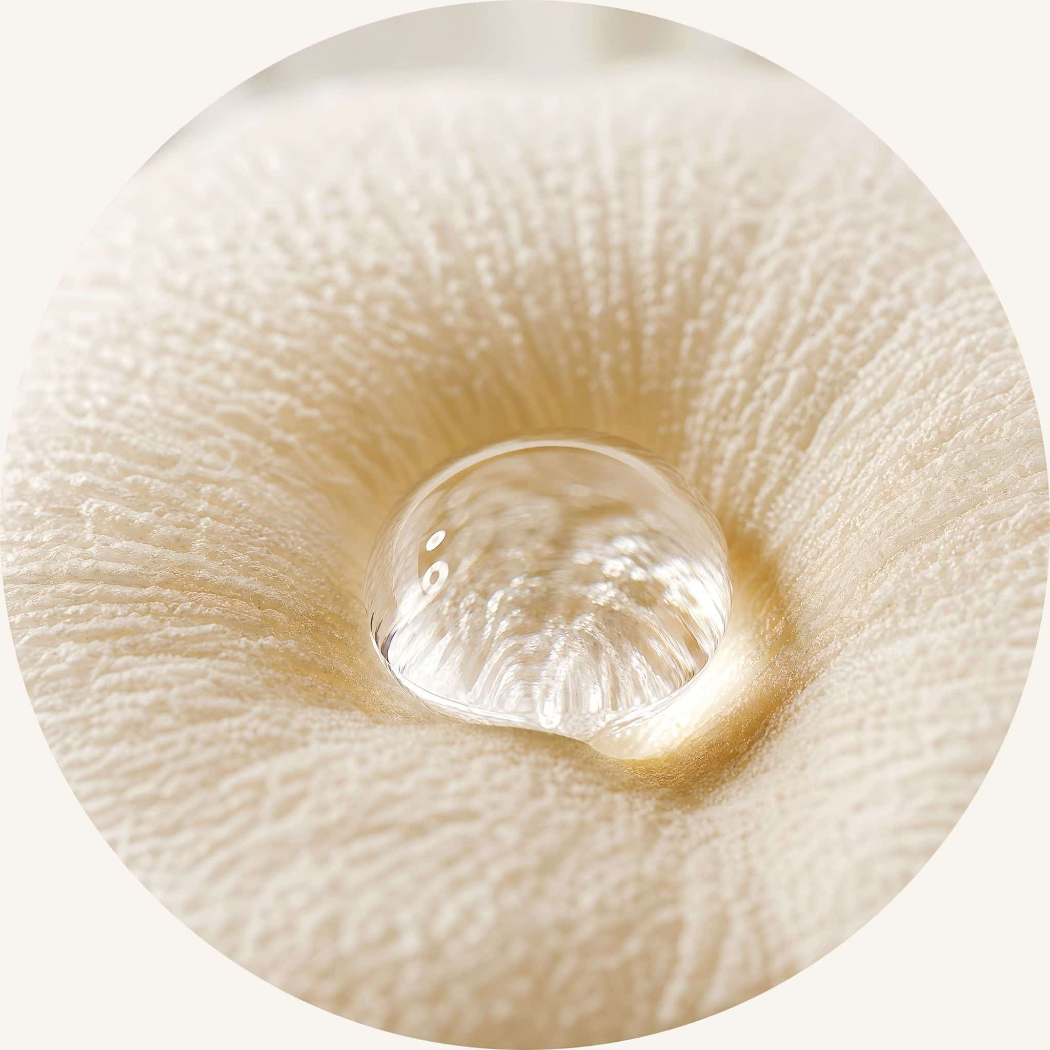 Pro-vitamin B5 panthenol water droplet texture, acting as an effective anti frizz shampoo component to deeply hydrate dry, brittle textures for lasting softness.