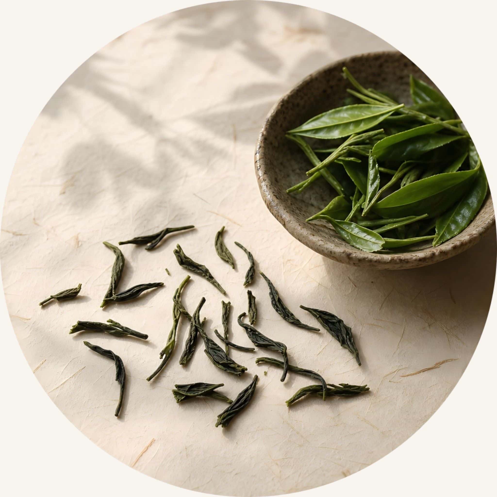 SootheHerbs Chinese Green Tea leaves and powder, a key botanical scalp detox ingredient in our purifying shampoo bar for oily hair to neutralize excess oil.