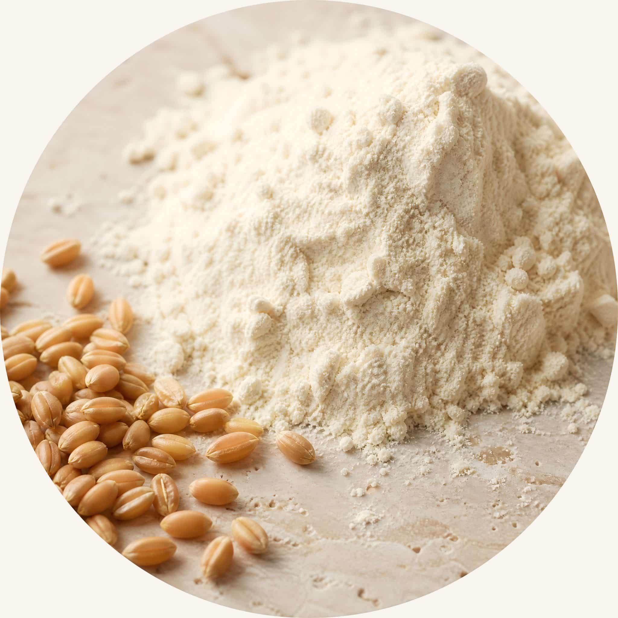 SootheHerbs Hydrolyzed Wheat Protein powder with grains, a core ingredient in our hair strengthening shampoo bar routine to reinforce weakened hair fiber.