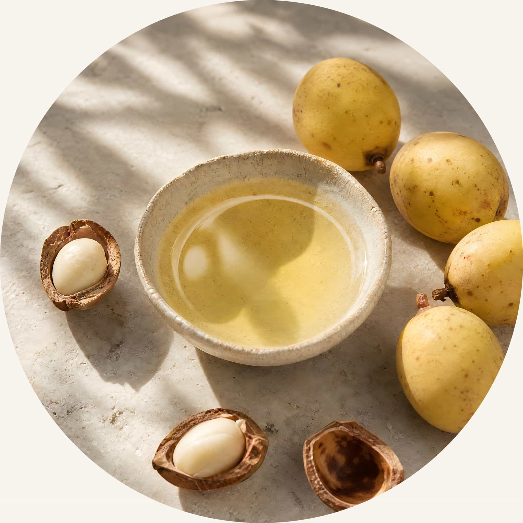 SootheHerbs pure Marula Oil in a light dish with fresh fruits, formulated within this botanical conditioner bar to deliver deep moisture recovery with no grease and pure glow.
