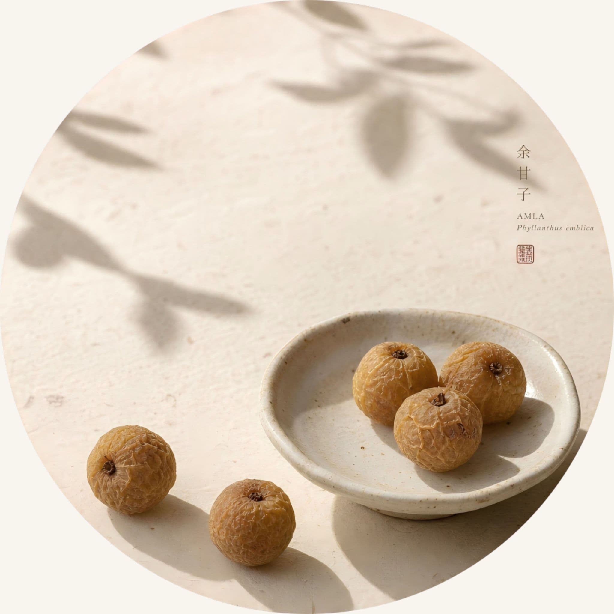 Whole Amla fruits in a shallow ceramic dish with warm shadows, featured in the best hair oil for dry scalp to infuse antioxidants and condition every strand for density.